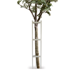 soltrafego, carlos oliveira, transito, parques estacionamento, mobiliario urbano